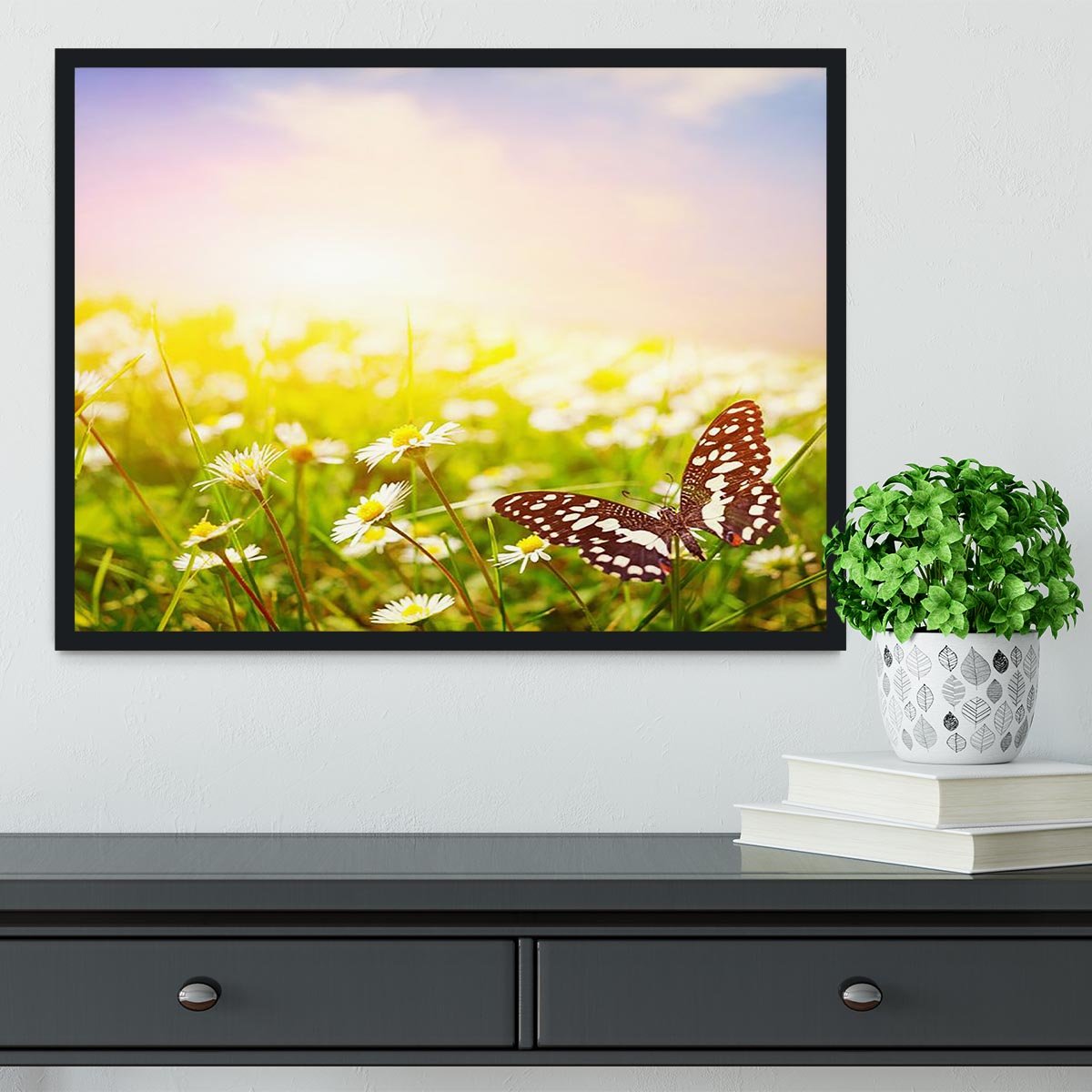Butterfly on a daisy field Framed Print - Canvas Art Rocks - 2