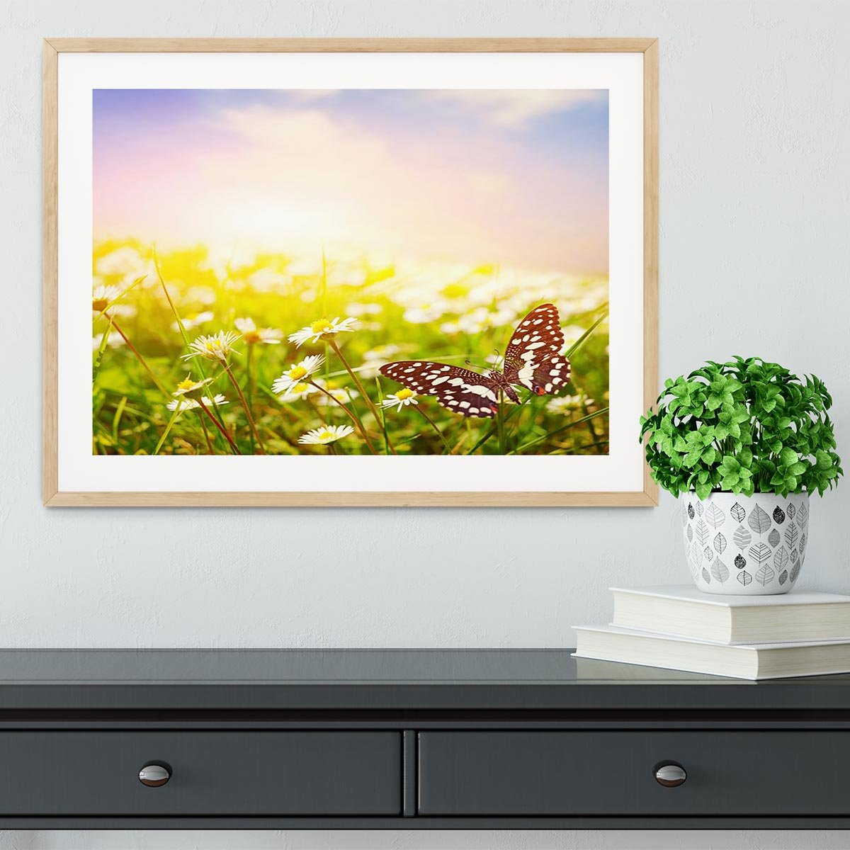 Butterfly on a daisy field Framed Print - Canvas Art Rocks - 3