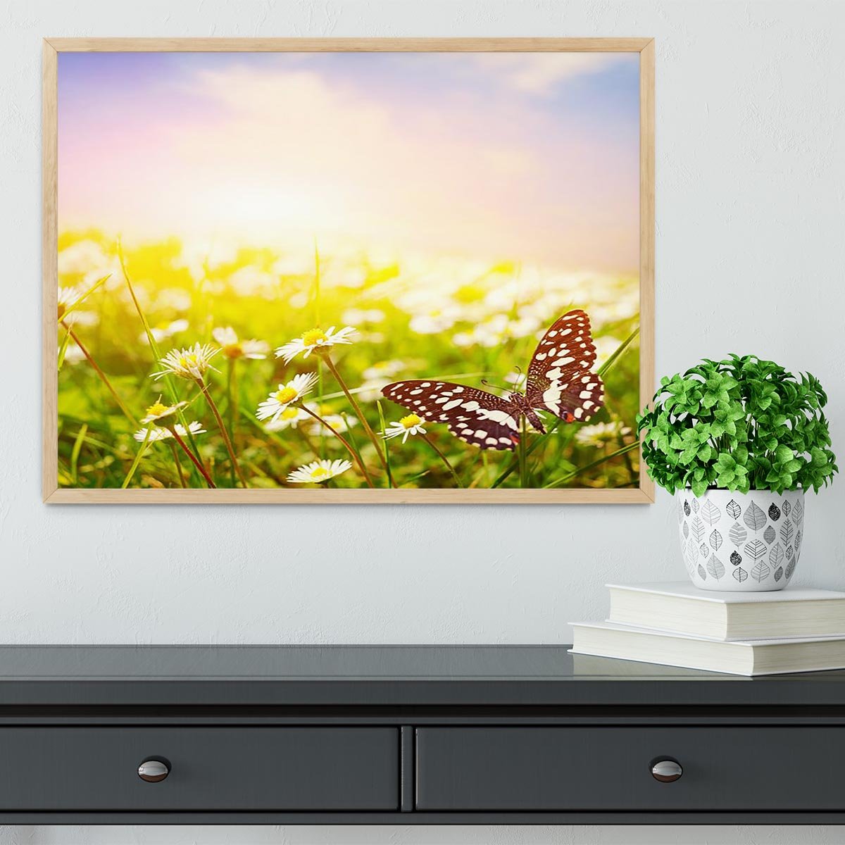 Butterfly on a daisy field Framed Print - Canvas Art Rocks - 4