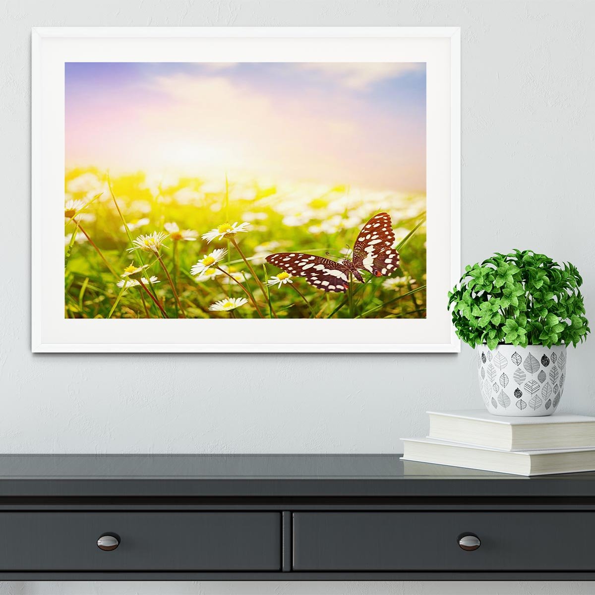 Butterfly on a daisy field Framed Print - Canvas Art Rocks - 5