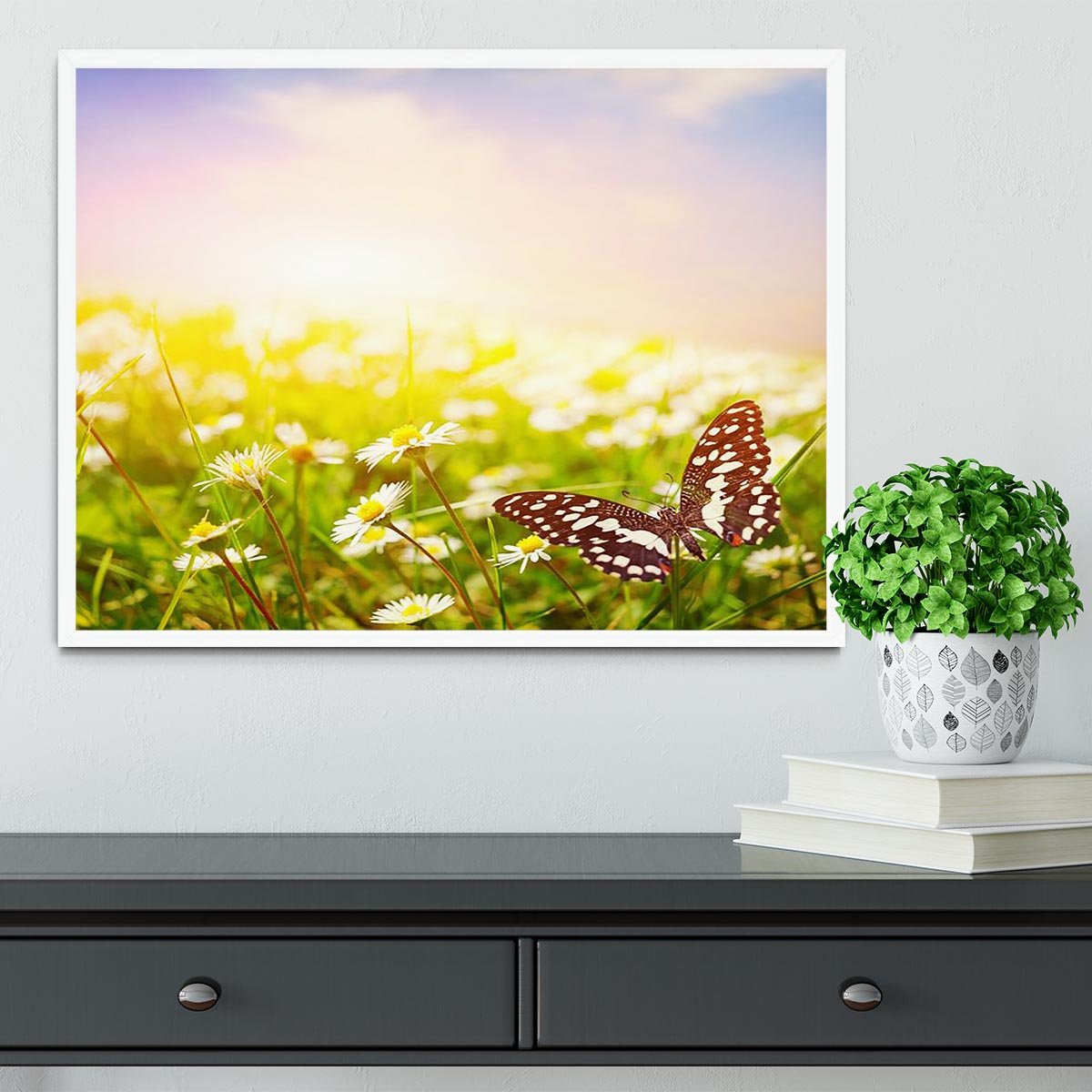 Butterfly on a daisy field Framed Print - Canvas Art Rocks -6