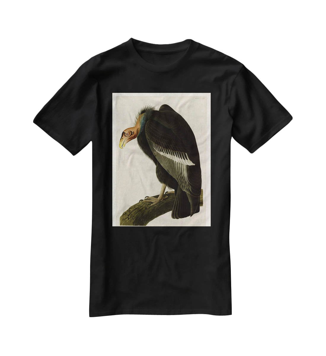 Californian Vulture by Audubon T-Shirt - Canvas Art Rocks - 1
