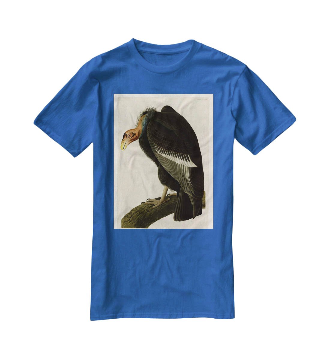 Californian Vulture by Audubon T-Shirt - Canvas Art Rocks - 2