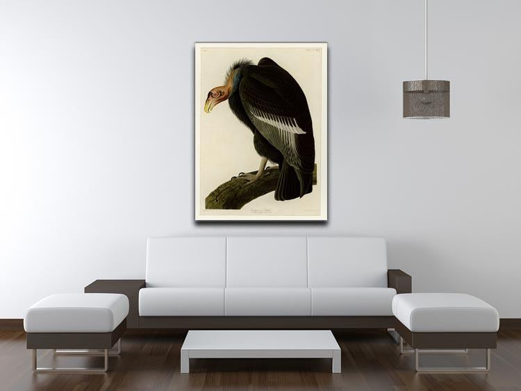 Californian Vulture by Audubon Canvas Print or Poster - Canvas Art Rocks - 4