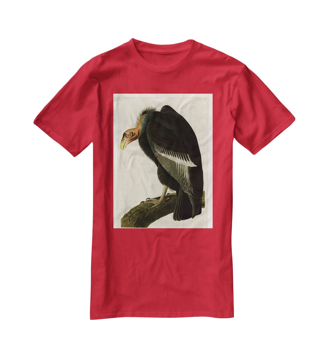 Californian Vulture by Audubon T-Shirt - Canvas Art Rocks - 4