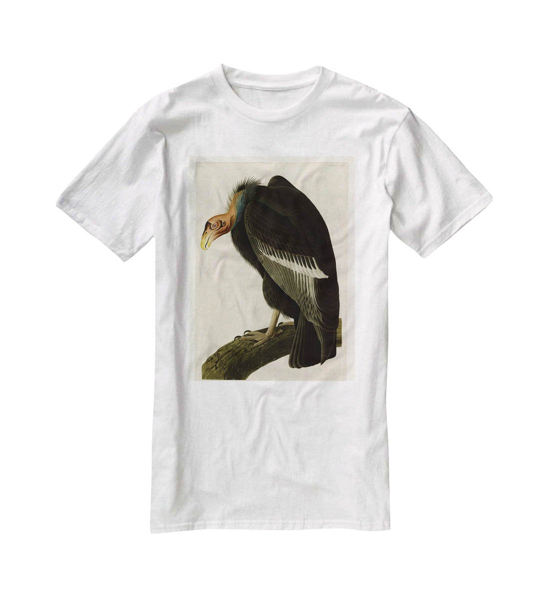 Californian Vulture by Audubon T-Shirt - Canvas Art Rocks - 5