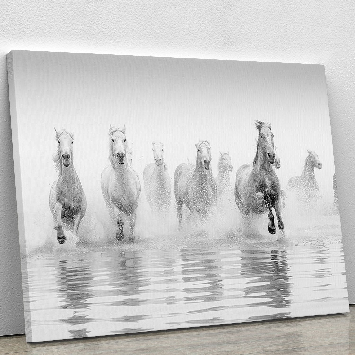 Camargue Horses Canvas Print or Poster