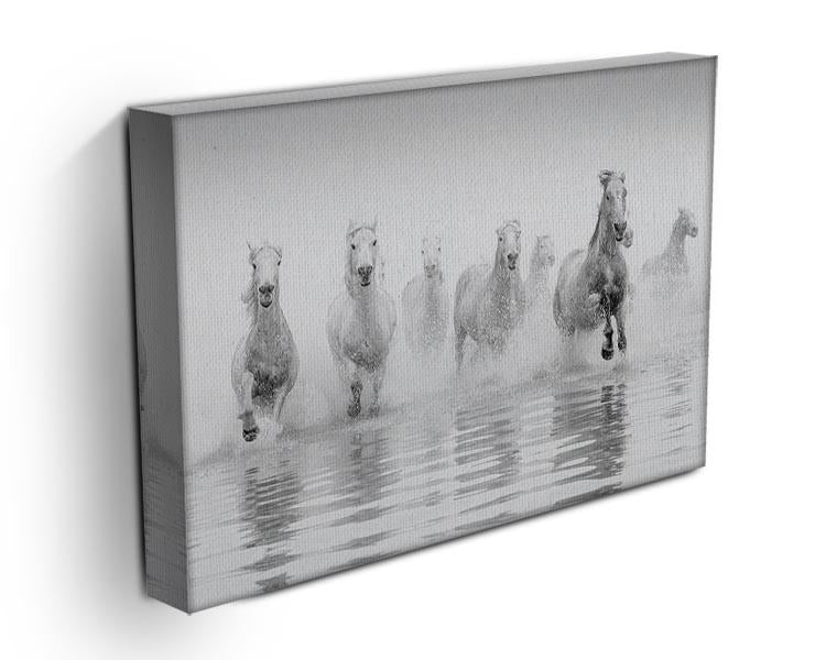 Camargue Horses Canvas Print or Poster - Canvas Art Rocks - 3
