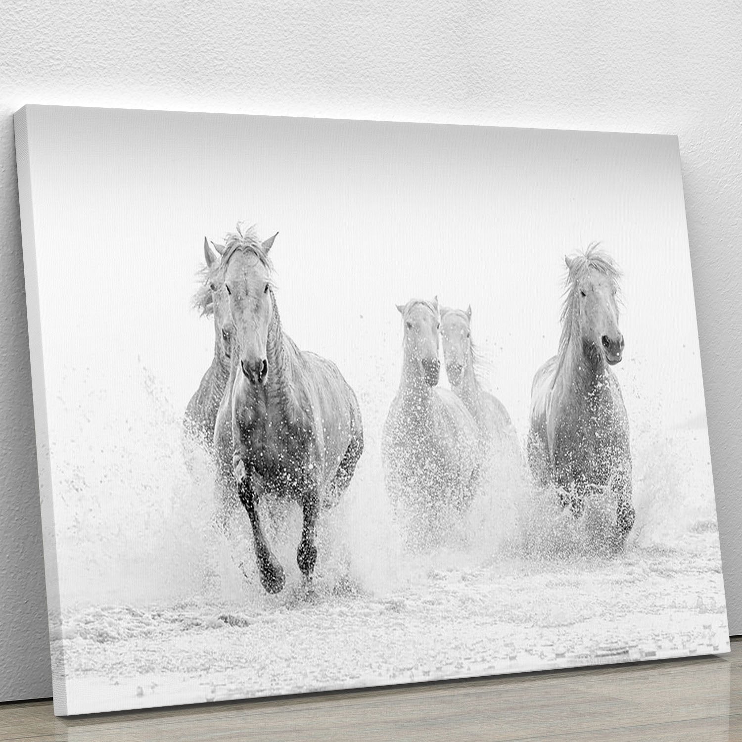 Camargue Horses running Canvas Print or Poster