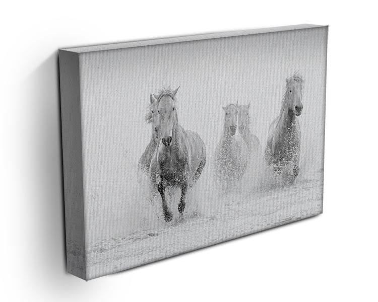 Camargue Horses running Canvas Print or Poster - Canvas Art Rocks - 3
