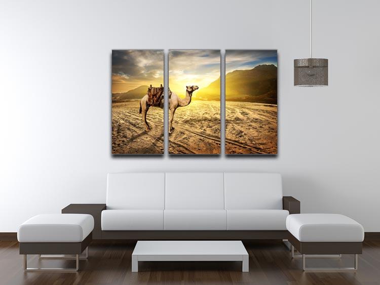 Camel in sandy desert near mountains at sunset 3 Split Panel Canvas Print - Canvas Art Rocks - 3