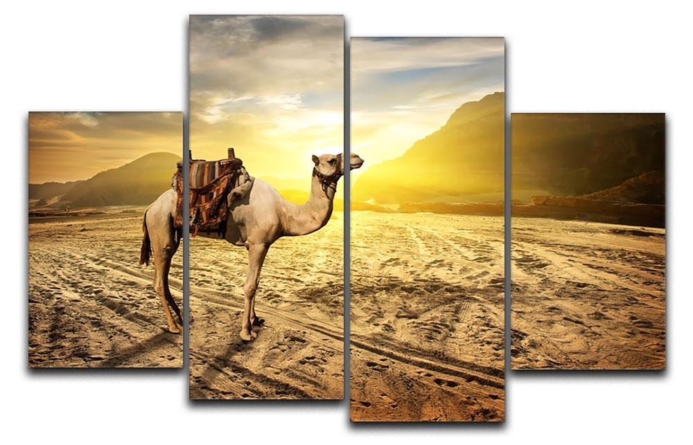 Camel in sandy desert near mountains at sunset 4 Split Panel Canvas - Canvas Art Rocks - 1