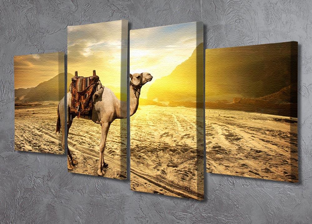 Camel in sandy desert near mountains at sunset 4 Split Panel Canvas - Canvas Art Rocks - 2