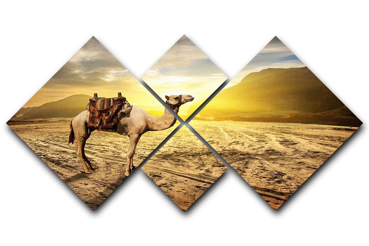 Camel in sandy desert near mountains at sunset 4 Square Multi Panel Canvas - Canvas Art Rocks - 1