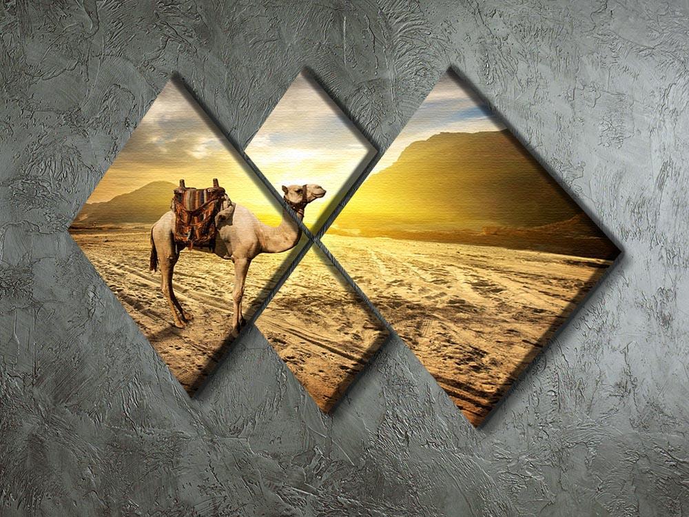 Camel in sandy desert near mountains at sunset 4 Square Multi Panel Canvas - Canvas Art Rocks - 2