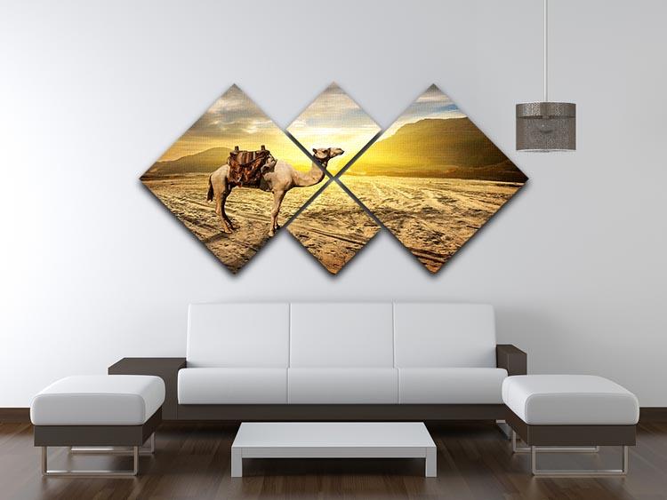 Camel in sandy desert near mountains at sunset 4 Square Multi Panel Canvas - Canvas Art Rocks - 3