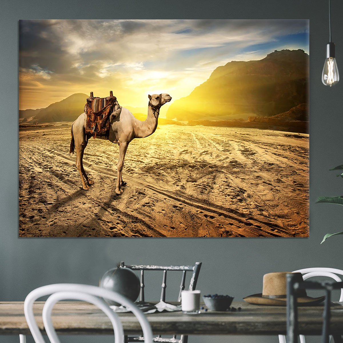 Camel in sandy desert near mountains at sunset Canvas Print or Poster