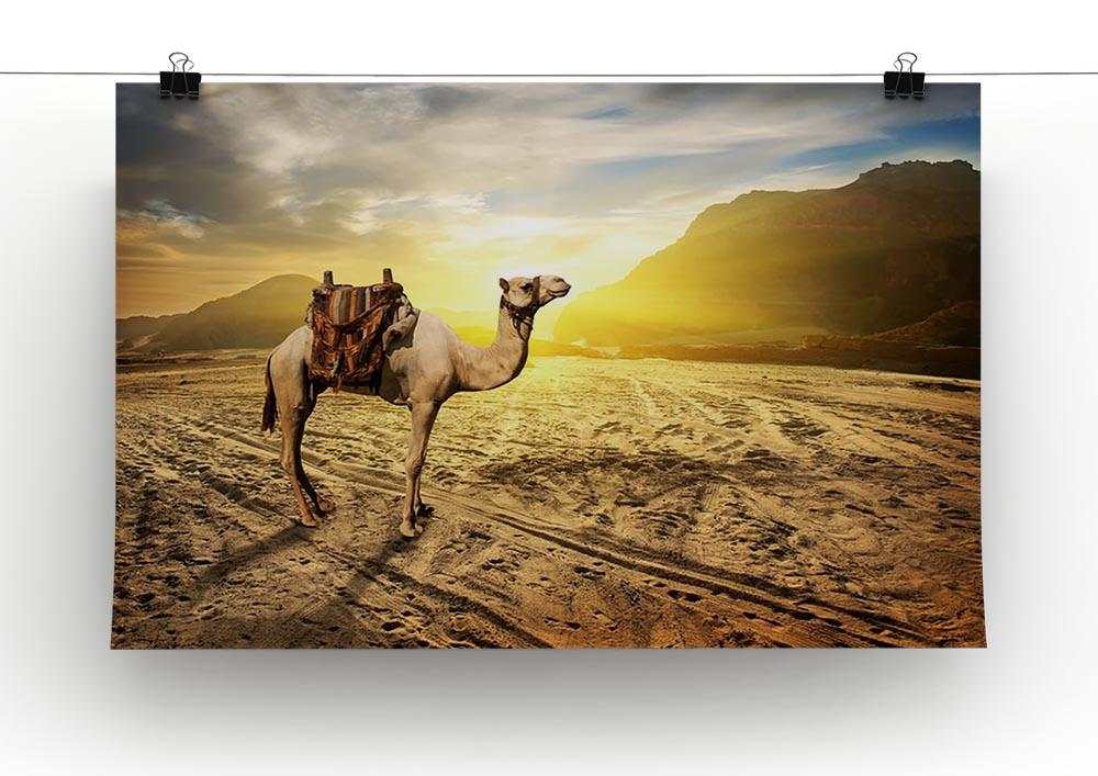 Camel in sandy desert near mountains at sunset Canvas Print or Poster - Canvas Art Rocks - 2