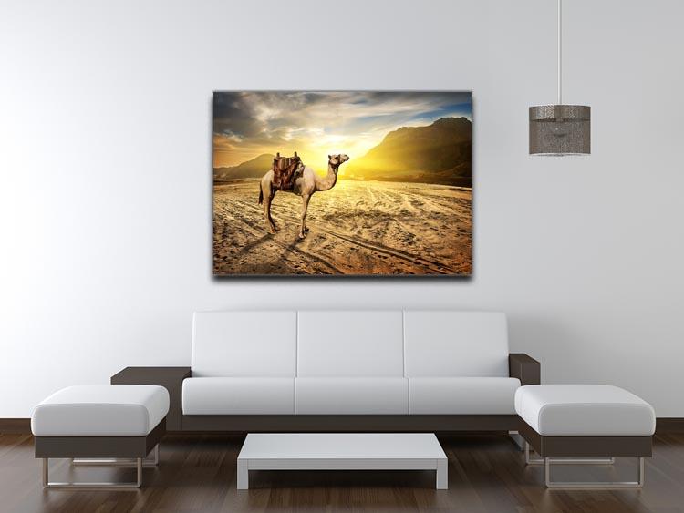 Camel in sandy desert near mountains at sunset Canvas Print or Poster - Canvas Art Rocks - 4
