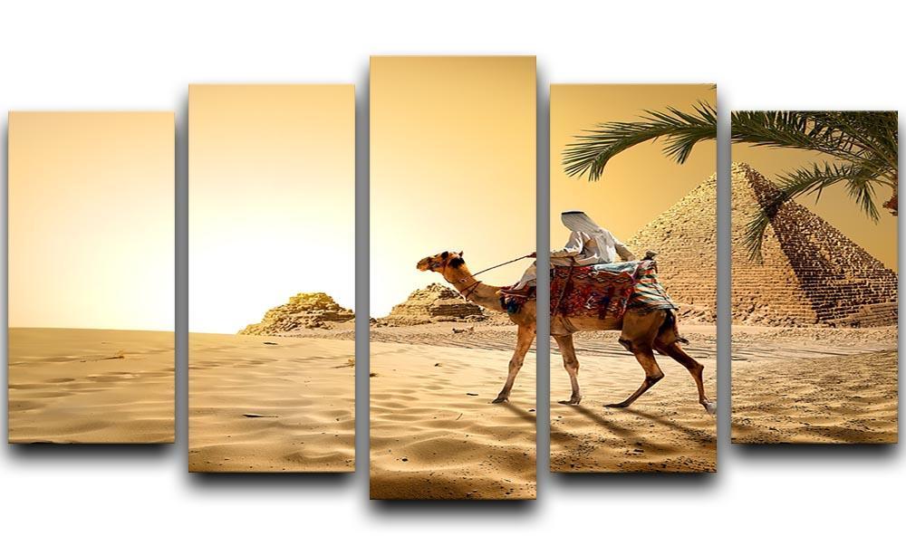 Camel near pyramids desert of Egypt 5 Split Panel Canvas  - Canvas Art Rocks - 1