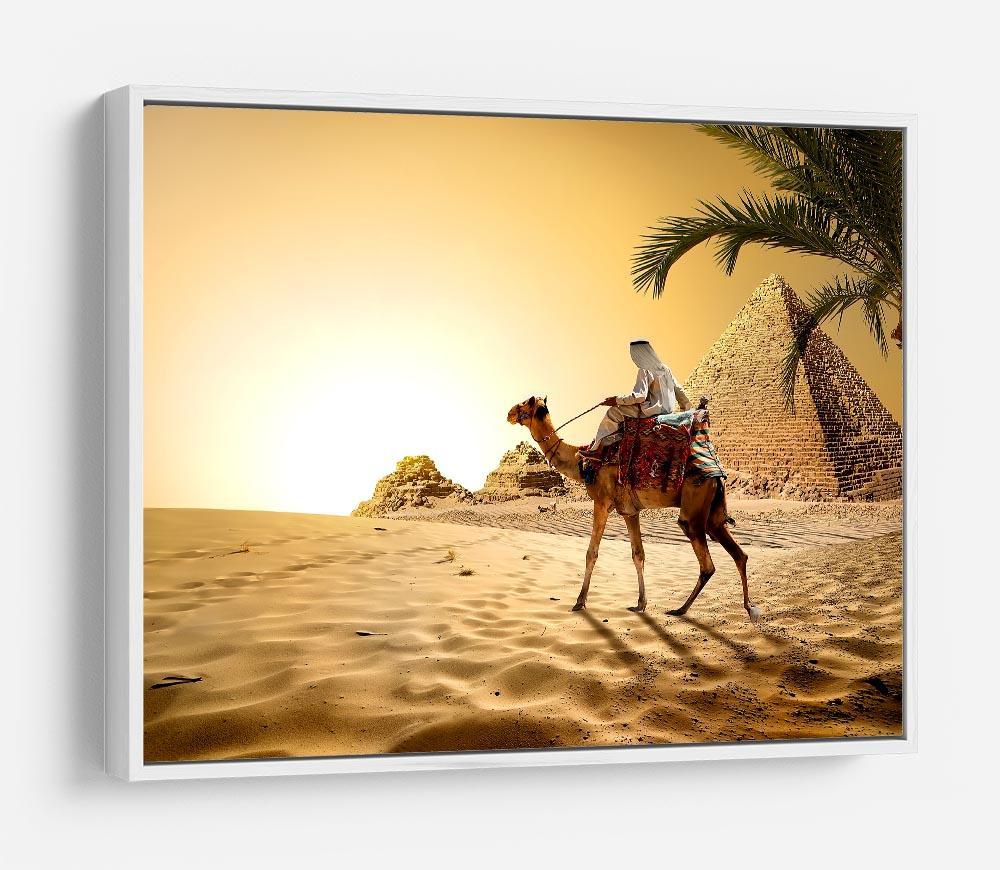 Camel near pyramids desert of Egypt HD Metal Print