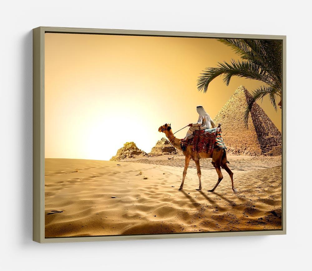 Camel near pyramids desert of Egypt HD Metal Print