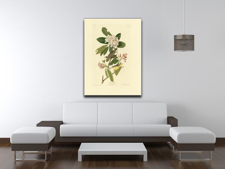 Canada Warbler by Audubon Canvas Print or Poster - Canvas Art Rocks - 4