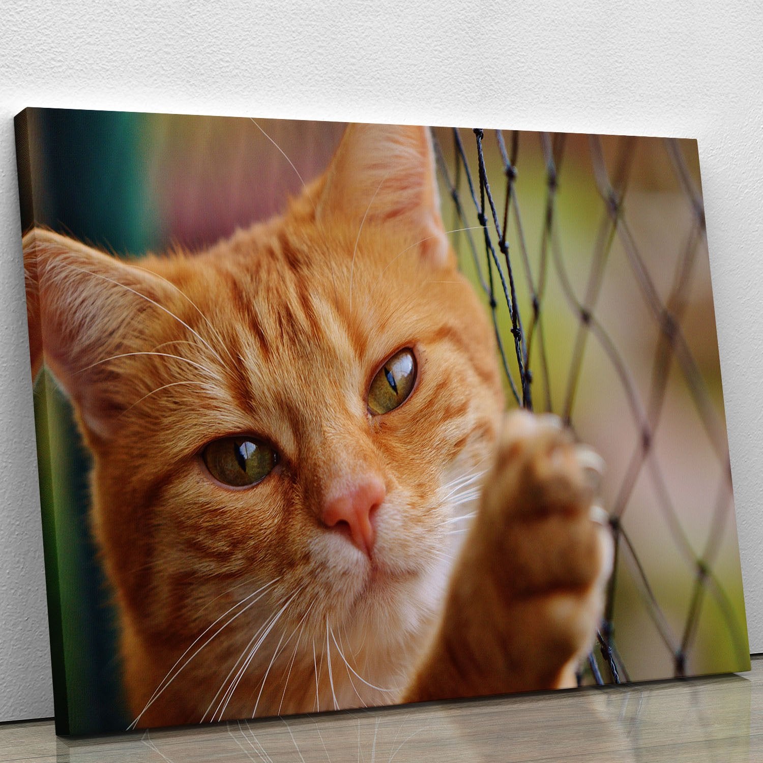 Cat Canvas Print or Poster