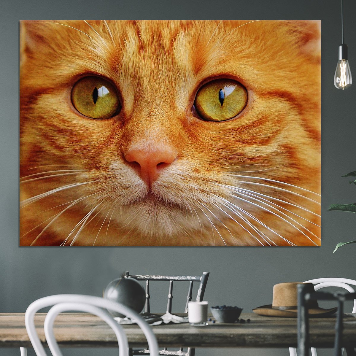 Cat Close Up Canvas Print or Poster