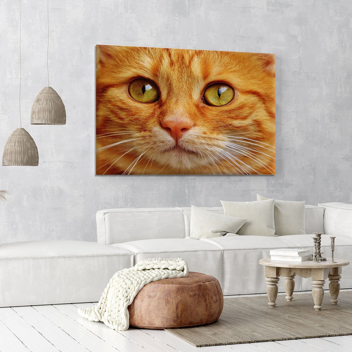 Cat Close Up Canvas Print or Poster