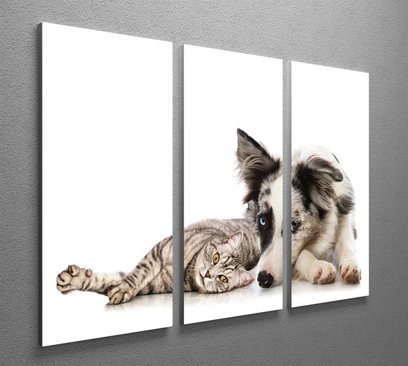Cat and dog 3 Split Panel Canvas Print - Canvas Art Rocks - 2