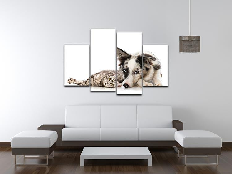 Cat and dog 4 Split Panel Canvas - Canvas Art Rocks - 3