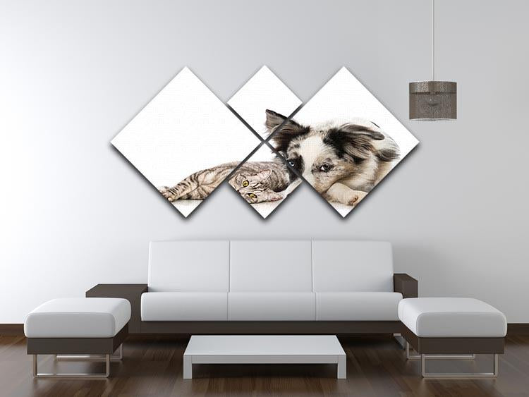 Cat and dog 4 Square Multi Panel Canvas - Canvas Art Rocks - 3