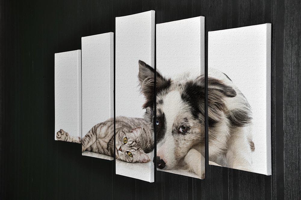 Cat and dog 5 Split Panel Canvas - Canvas Art Rocks - 2