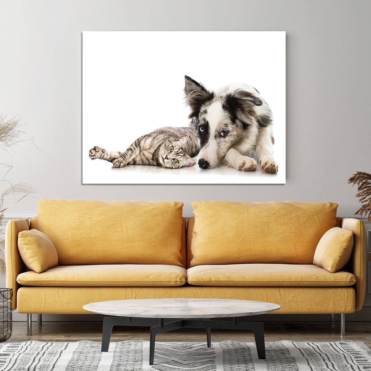 Cat and dog Canvas Print or Poster