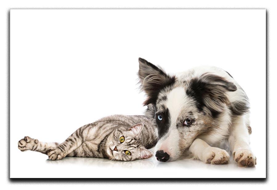 Cat and dog Canvas Print or Poster - Canvas Art Rocks - 1