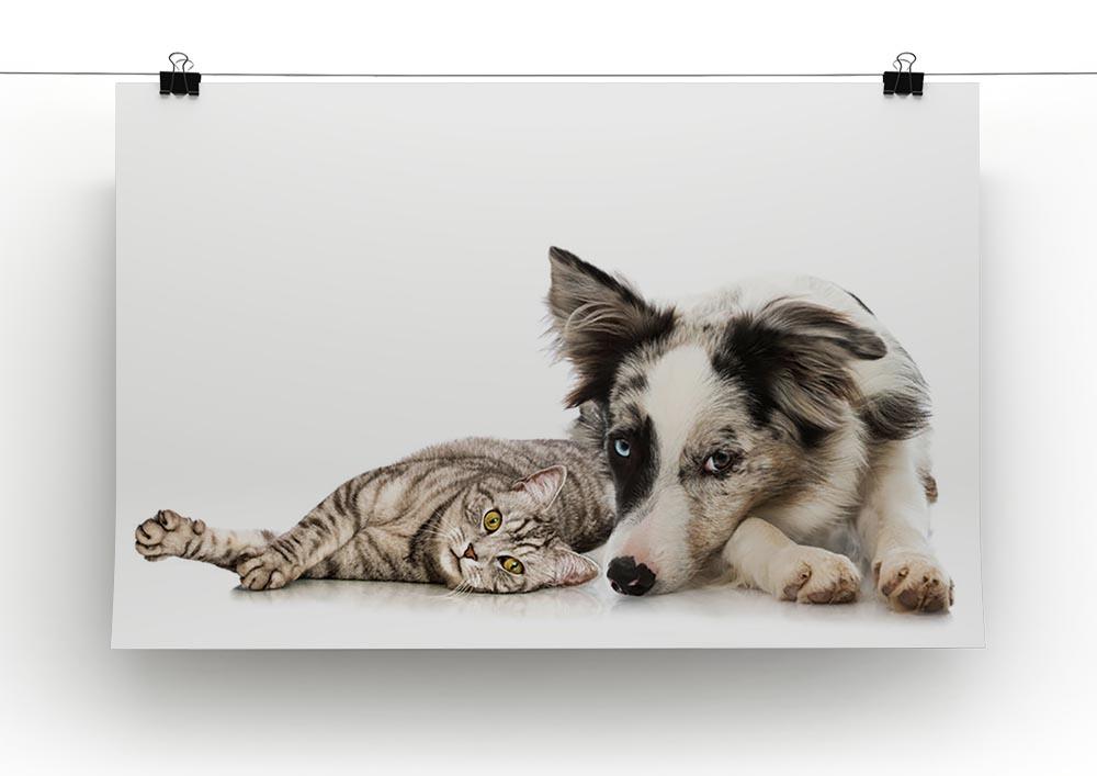 Cat and dog Canvas Print or Poster - Canvas Art Rocks - 2