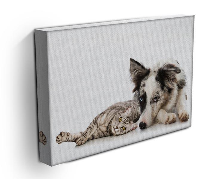 Cat and dog Canvas Print or Poster - Canvas Art Rocks - 3