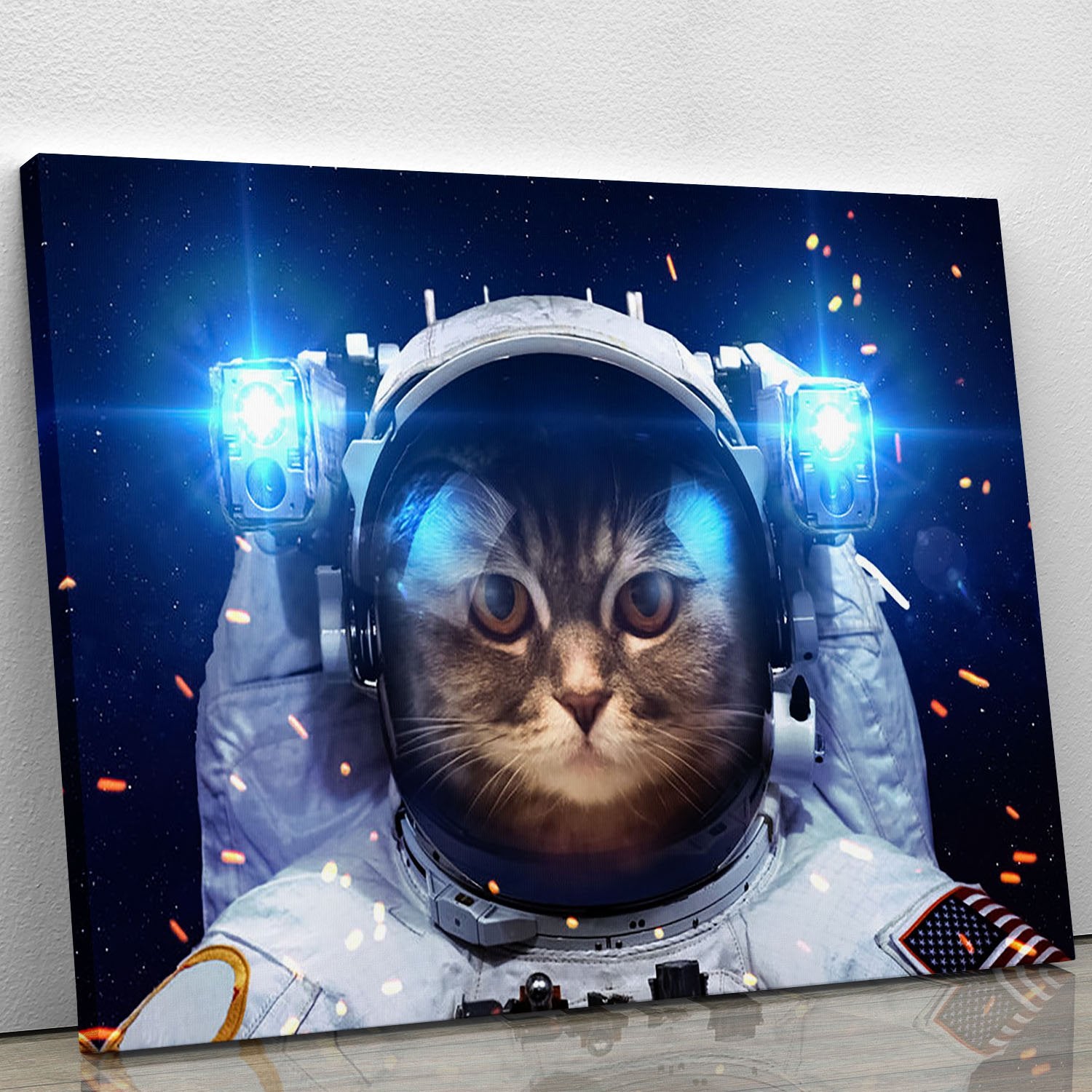 Cat in Space Canvas Print or Poster