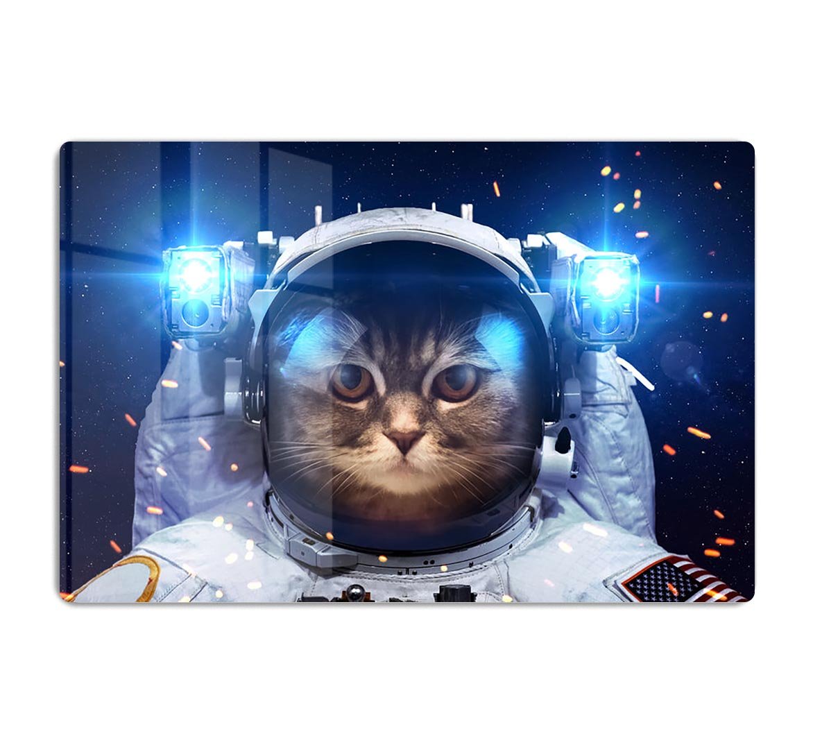 Cat in Space HD Metal Print