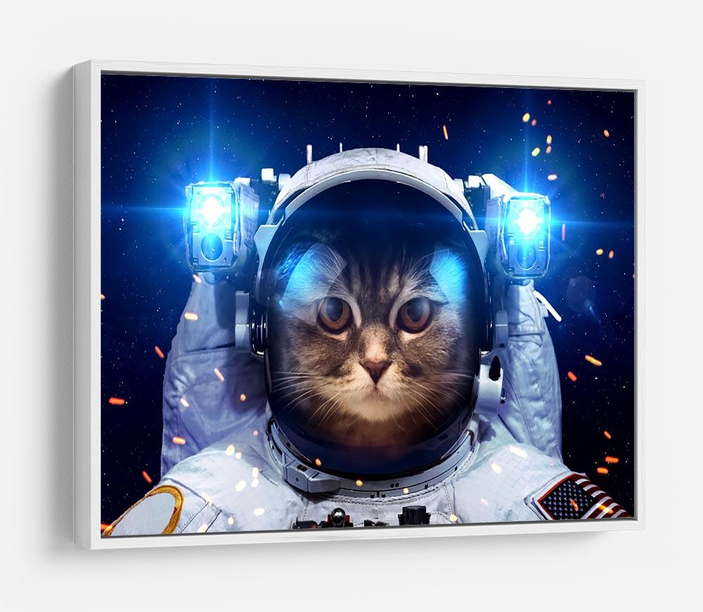 Cat in Space HD Metal Print