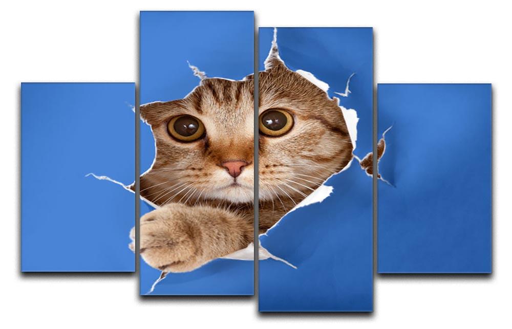 Cat in blue chromakey paper hole 4 Split Panel Canvas - Canvas Art Rocks - 1