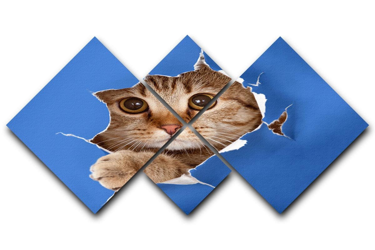 Cat in blue chromakey paper hole 4 Square Multi Panel Canvas - Canvas Art Rocks - 1