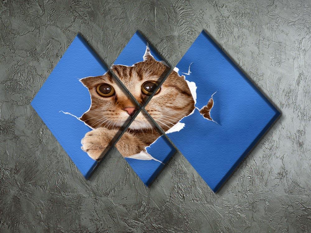 Cat in blue chromakey paper hole 4 Square Multi Panel Canvas - Canvas Art Rocks - 2
