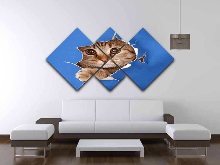 Cat in blue chromakey paper hole 4 Square Multi Panel Canvas - Canvas Art Rocks - 3
