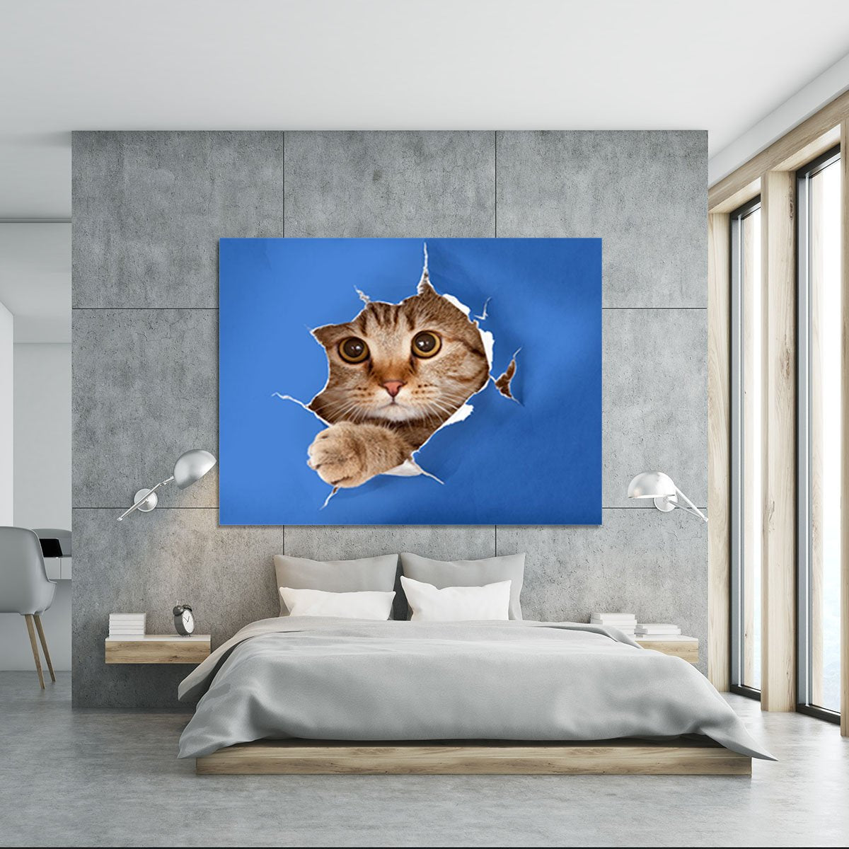 Cat in blue chromakey paper hole Canvas Print or Poster