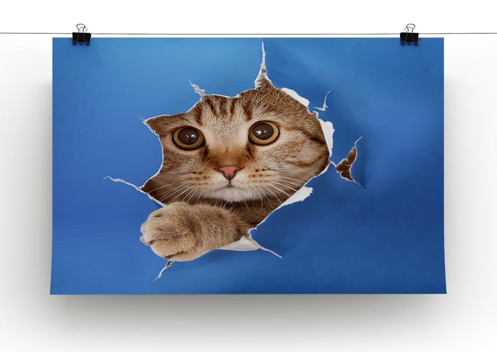 Cat in blue chromakey paper hole Canvas Print or Poster - Canvas Art Rocks - 2