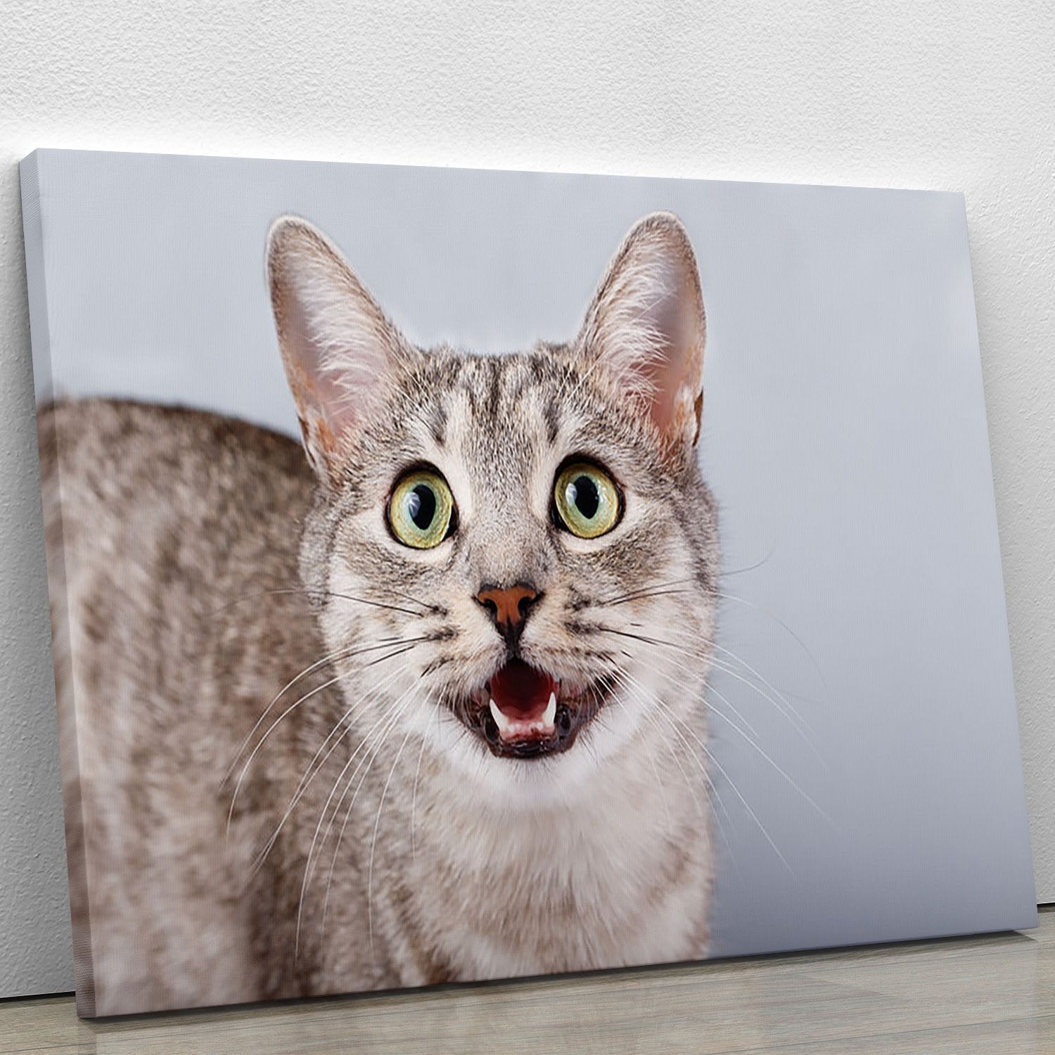 Cat meows Canvas Print or Poster