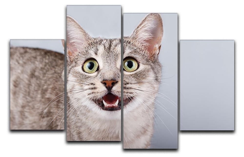 Cat meows gray tabby Shorthair 4 Split Panel Canvas - Canvas Art Rocks - 1