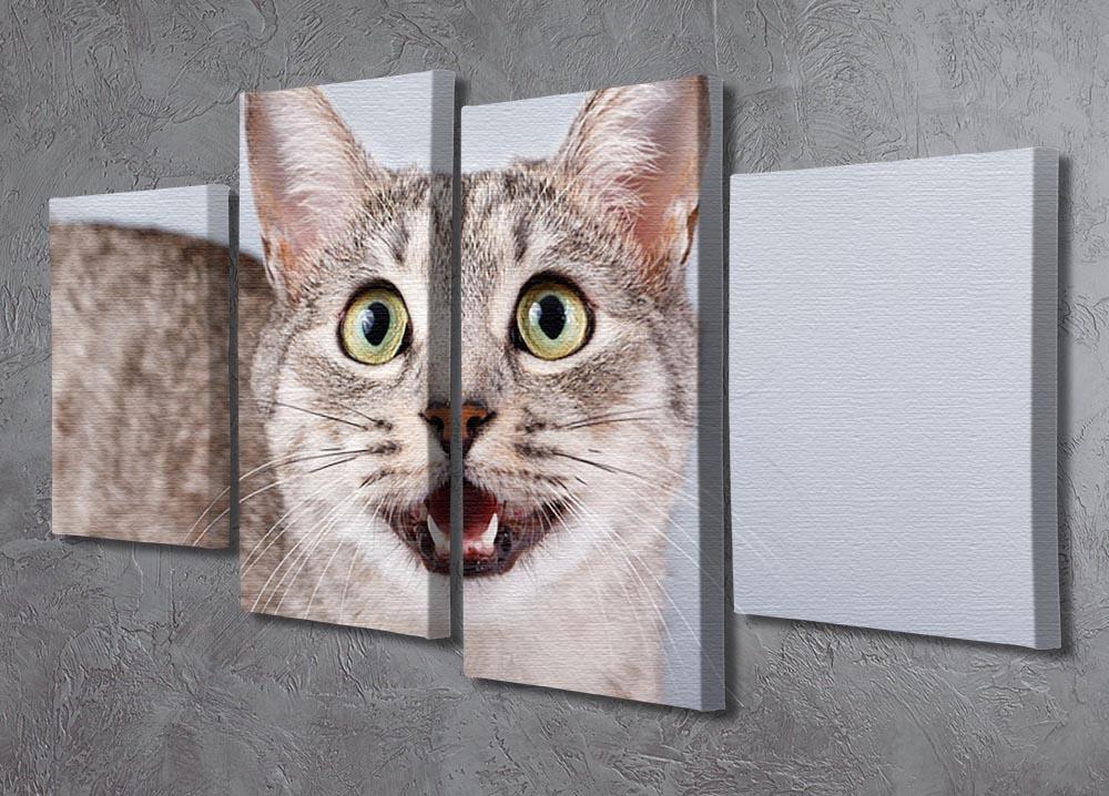 Cat meows gray tabby Shorthair 4 Split Panel Canvas - Canvas Art Rocks - 2